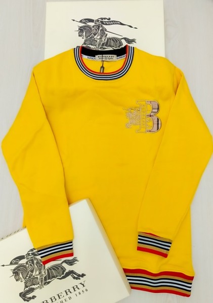 sweat shirt